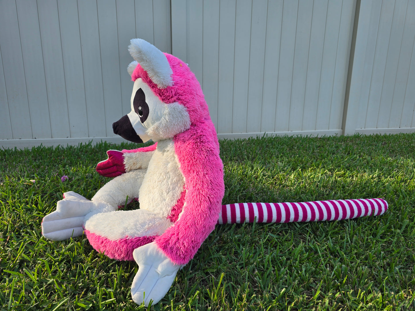 Poppy the Pink Lemur