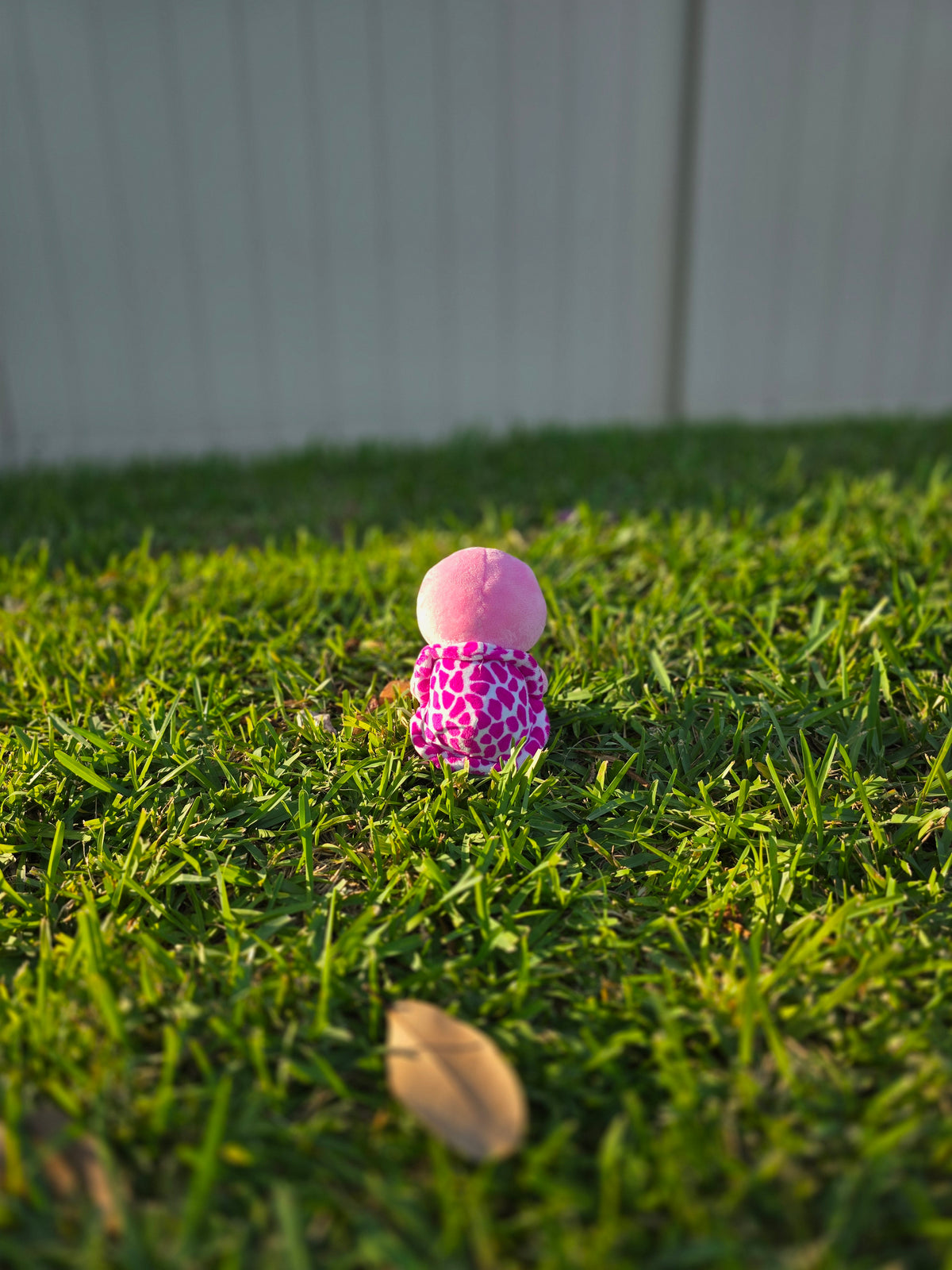 Bella the Pink Turtle