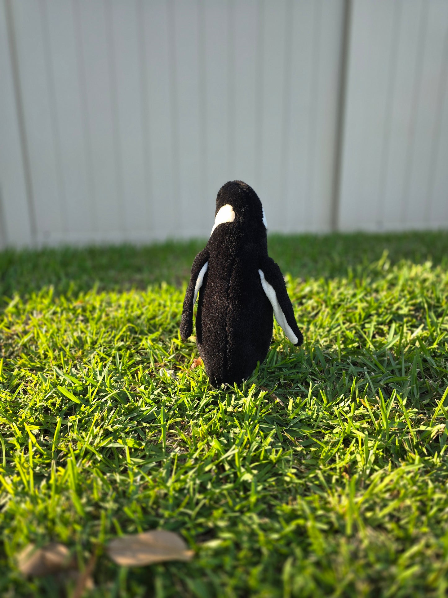 Piper the Little Penguin π§βοΈ