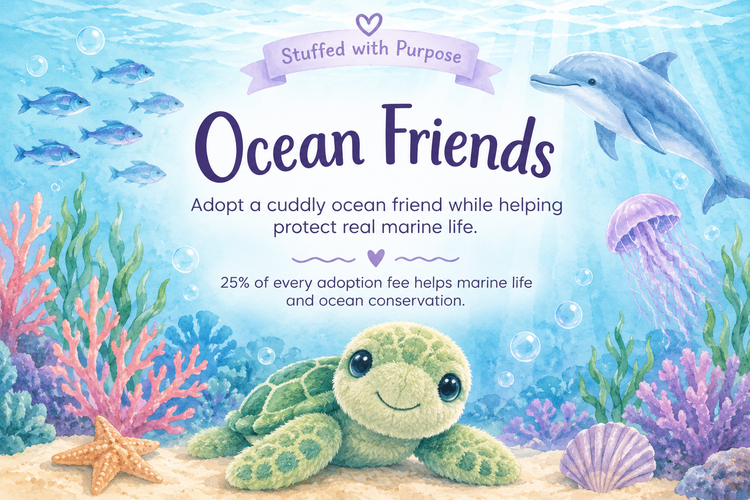 Ocean Friends