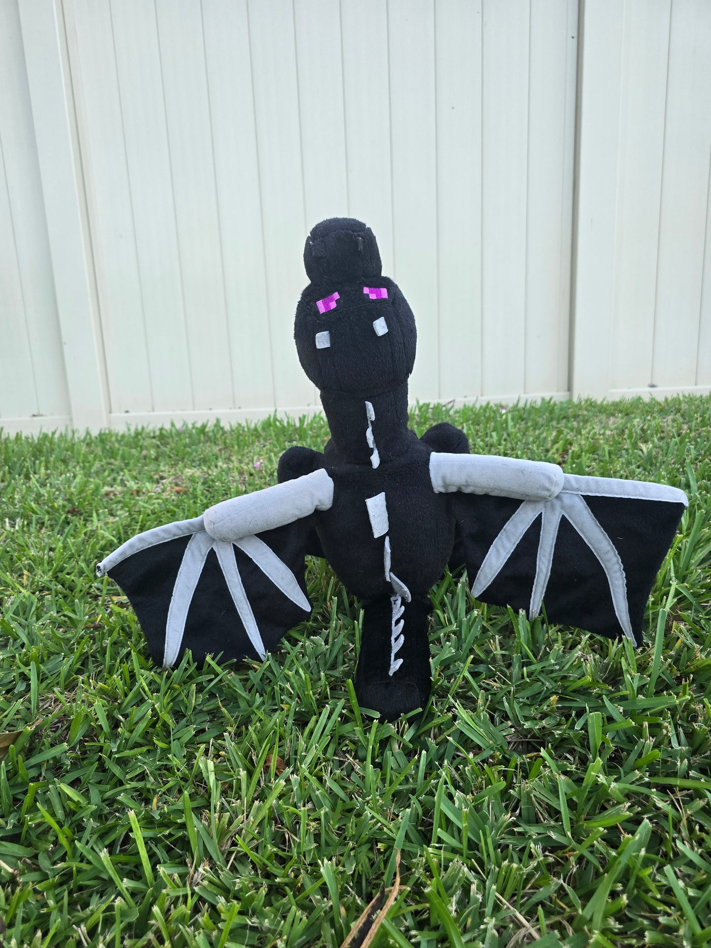 Shadow the Ender Dragon