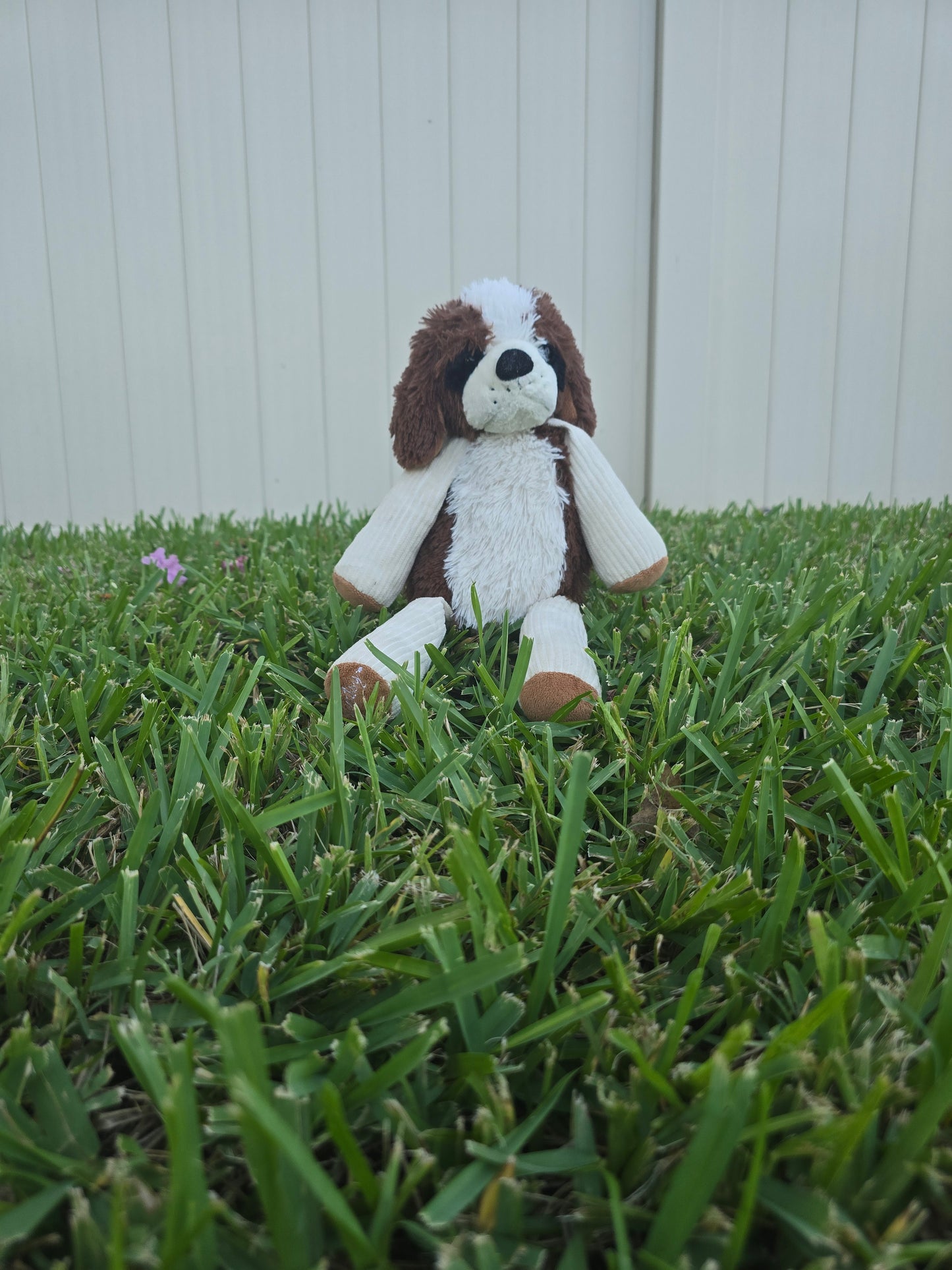 Charlie the Puppy