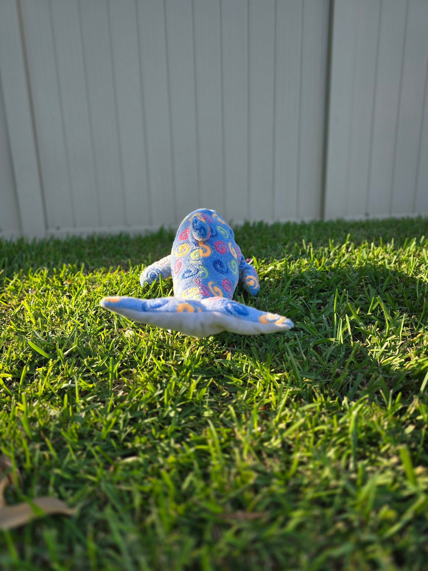 Sunny the Spiral Dolphin