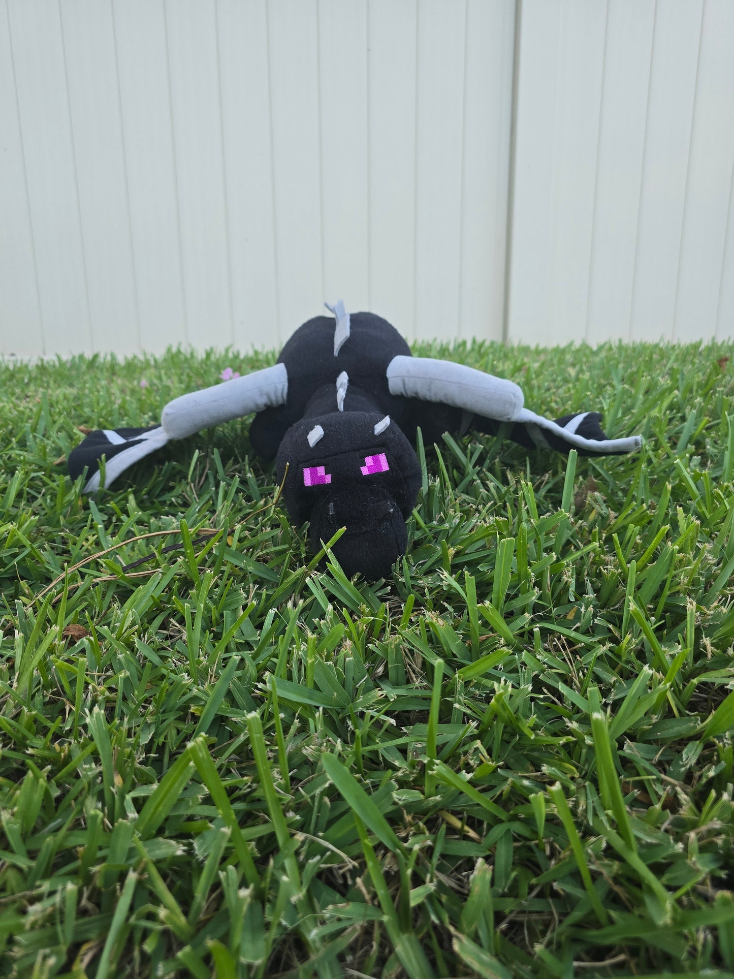Shadow the Ender Dragon