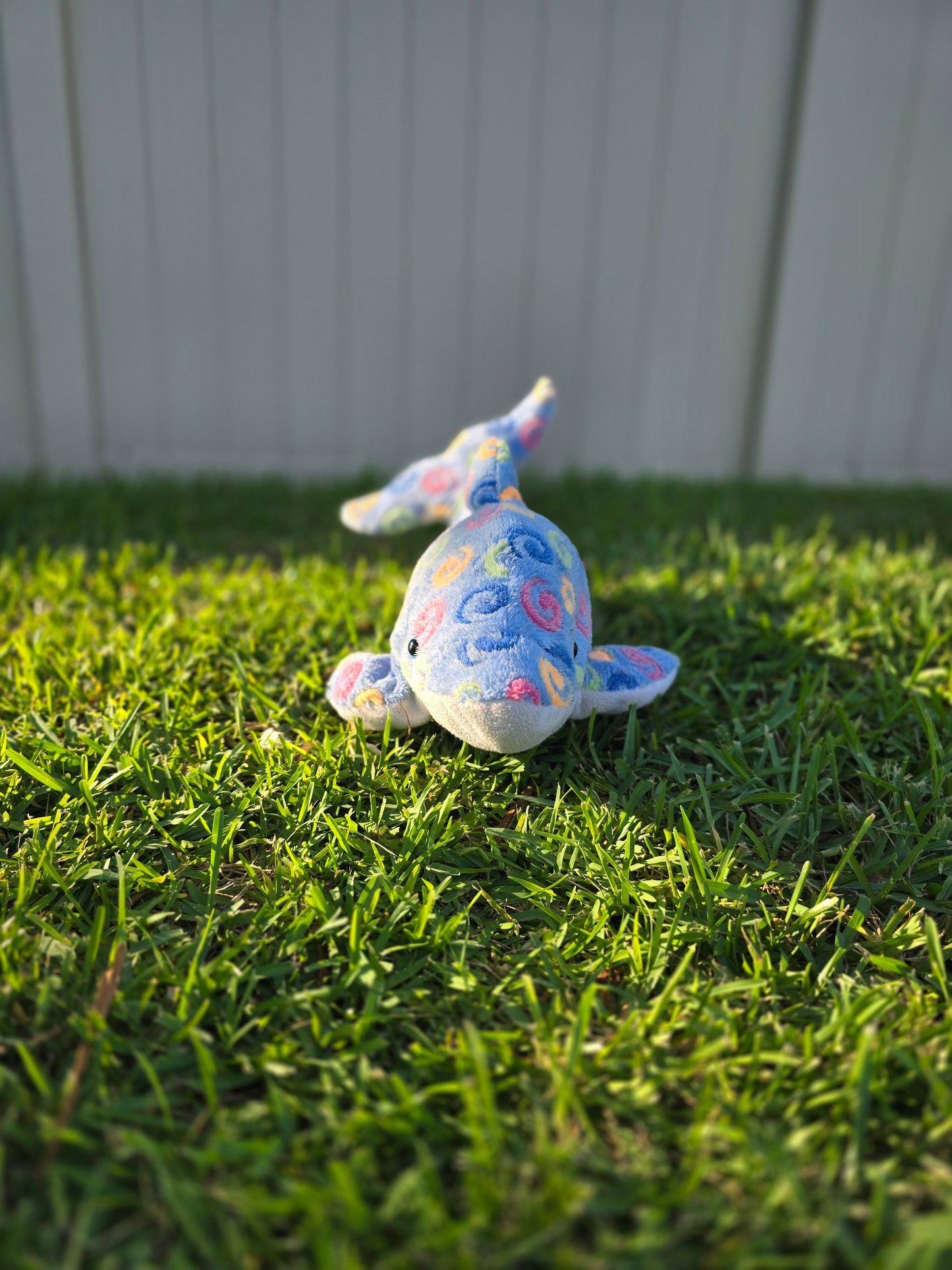 Sunny the Spiral Dolphin