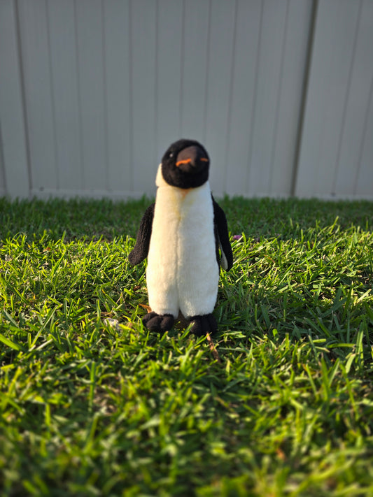 Piper the Little Penguin 🐧❄️