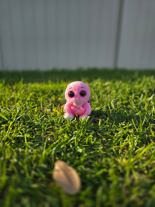 Bella the Pink Turtle
