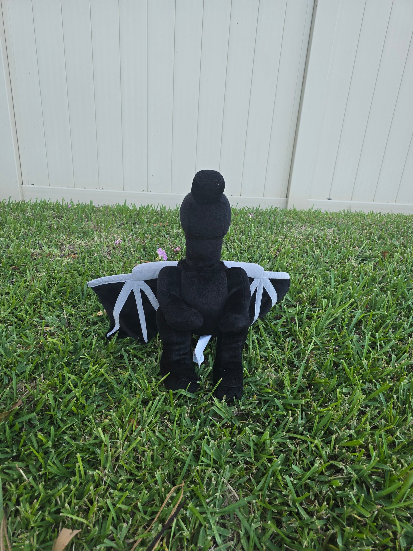 Shadow the Ender Dragon