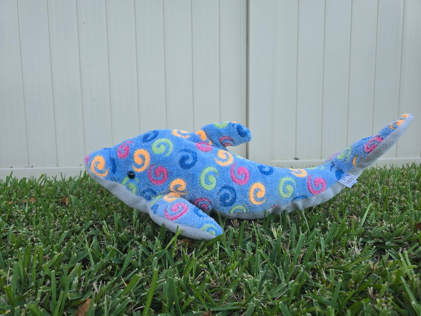 Sunny the Spiral Dolphin