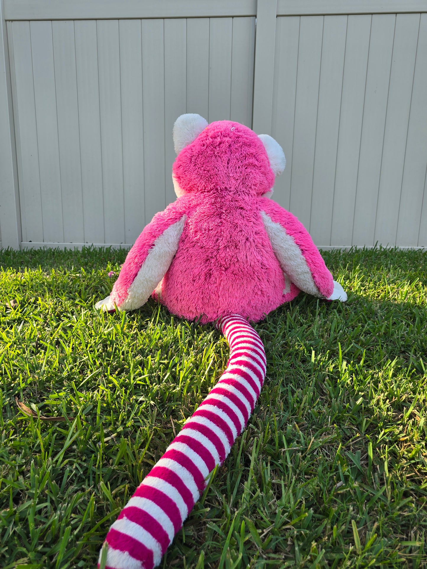 Poppy the Pink Lemur