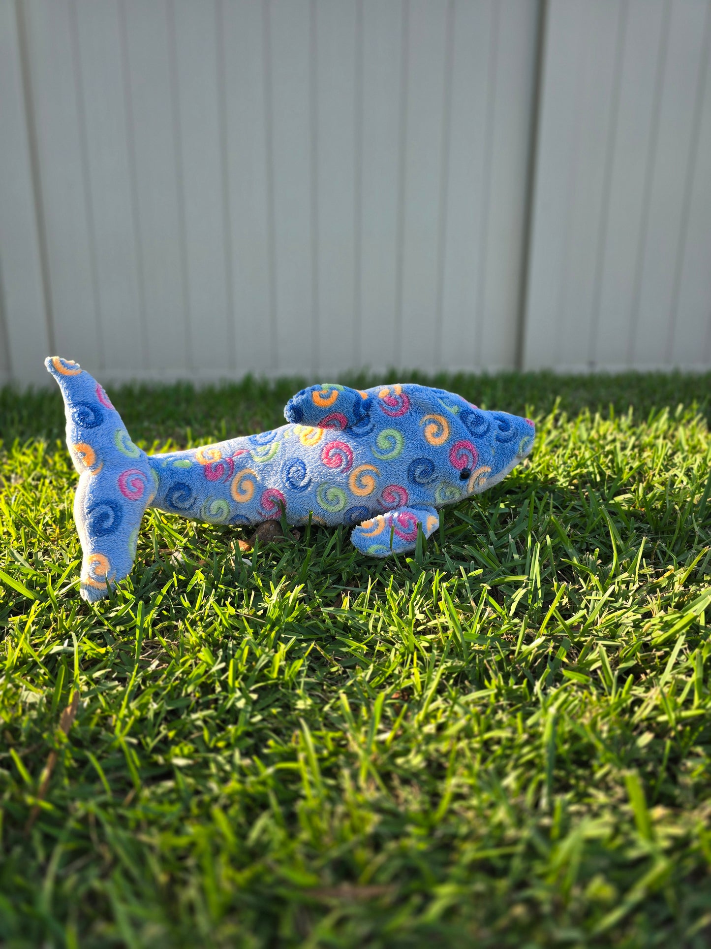 Sunny the Spiral Dolphin