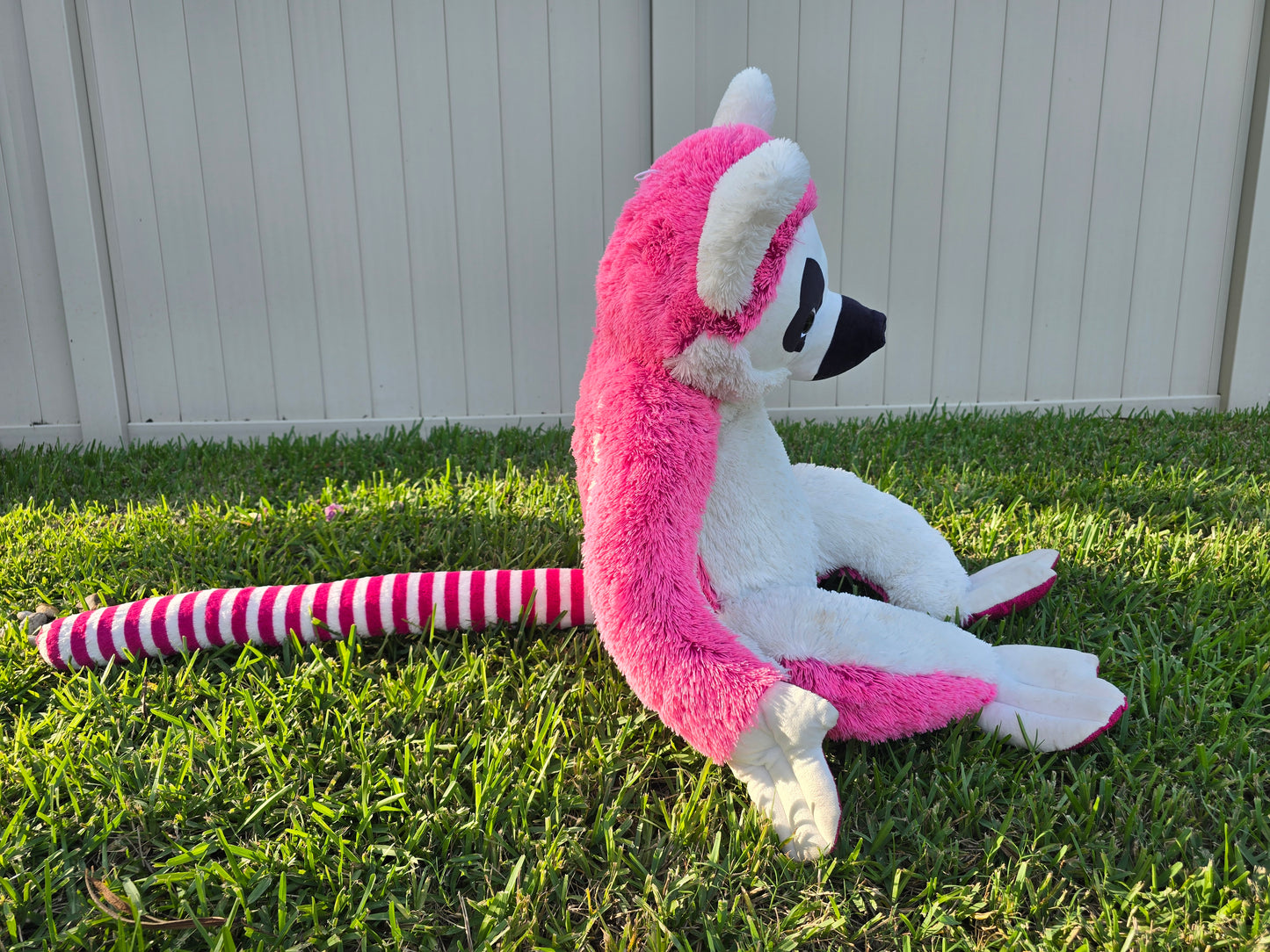 Poppy the Pink Lemur