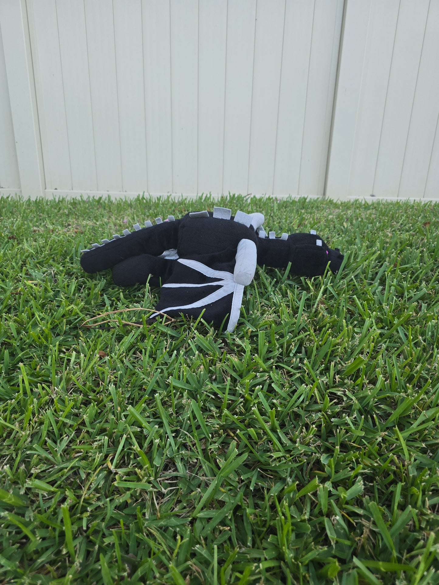 Shadow the Ender Dragon