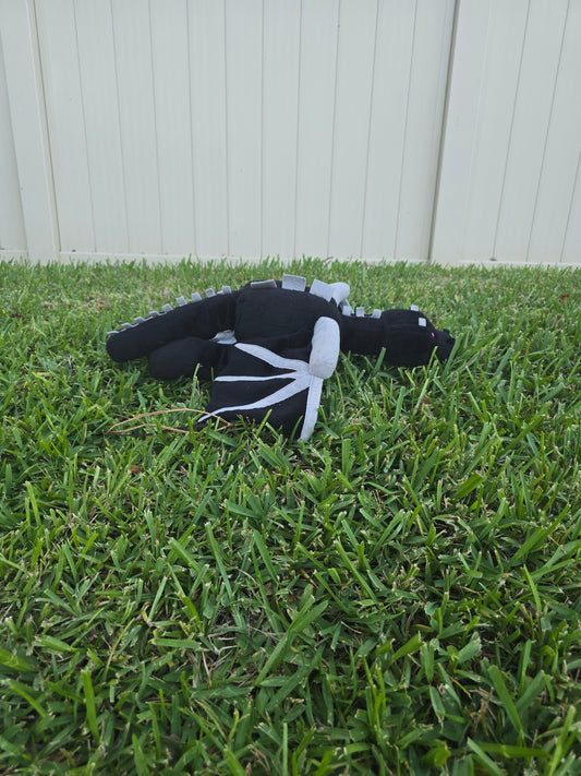 Shadow the Ender Dragon